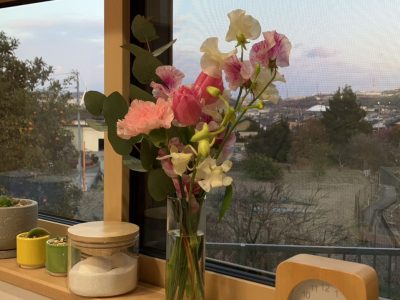 「和の平屋」見学会